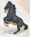 Picture of Black Horse