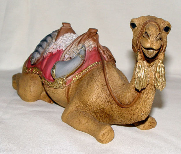 Picture of Camel