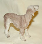 Picture of Bedlington terrier Dog