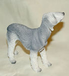 Picture of Bedlington terrier Dog