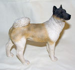 Picture of Akita Dog