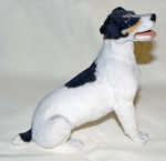 Picture of Dog - Jack Russell