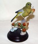 Picture of Green Finch with Acorns