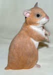 Picture of Hamster