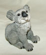 Picture of Koala