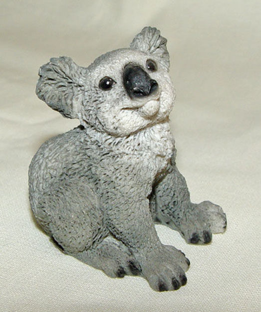 Picture of Koala