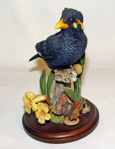 Picture of Myna Bird with Butterfly