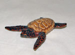 Picture of Sea Turtle