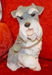 Picture of Schnauzer