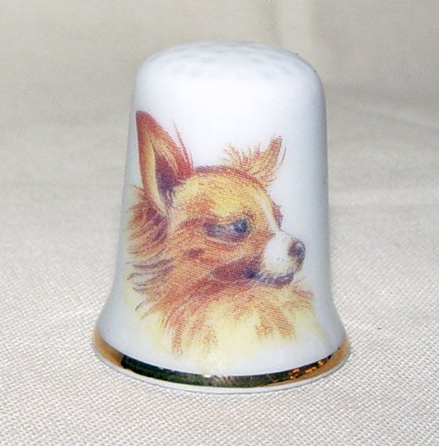 Picture of Thimble dog