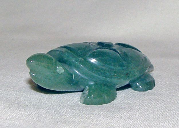 Picture of Turtle